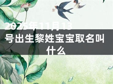 2025年11月13号出生黎姓宝宝取名叫什么