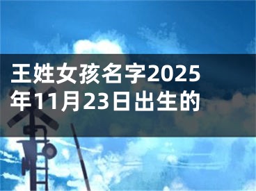 王姓女孩名字2025年11月23日出生的