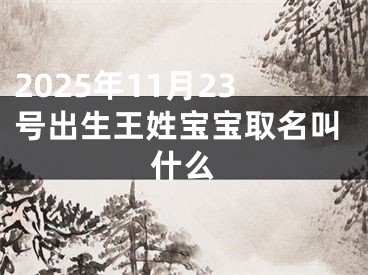 2025年11月23号出生王姓宝宝取名叫什么