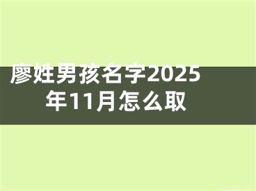 廖姓男孩名字2025年11月怎么取