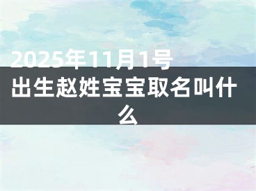 2025年11月1号出生赵姓宝宝取名叫什么