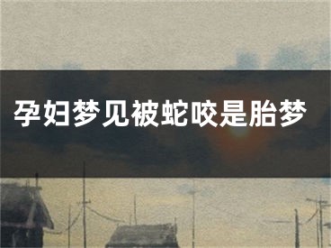 孕妇梦见被蛇咬是胎梦
