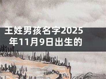 王姓男孩名字2025年11月9日出生的