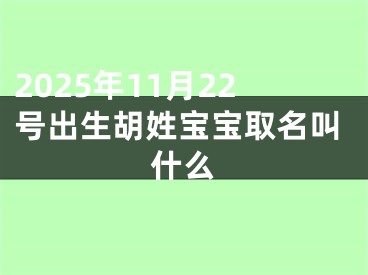 2025年11月22号出生胡姓宝宝取名叫什么