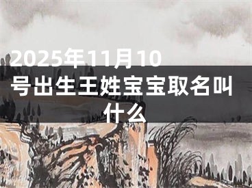 2025年11月10号出生王姓宝宝取名叫什么