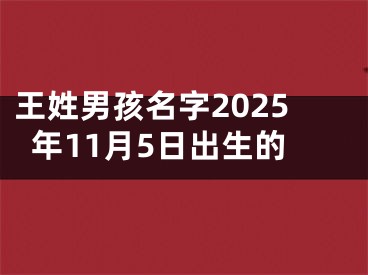 王姓男孩名字2025年11月5日出生的