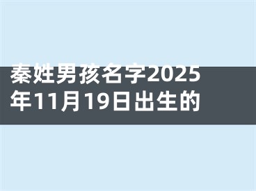 秦姓男孩名字2025年11月19日出生的