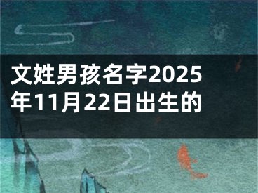 文姓男孩名字2025年11月22日出生的
