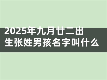 2025年九月廿二出生张姓男孩名字叫什么