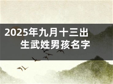 2025年九月十三出生武姓男孩名字