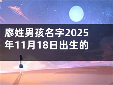 廖姓男孩名字2025年11月18日出生的