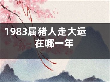 1983属猪人走大运在哪一年