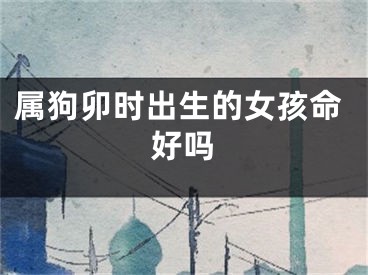 属狗卯时出生的女孩命好吗