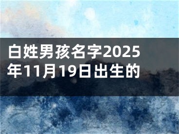 白姓男孩名字2025年11月19日出生的