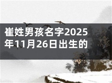 崔姓男孩名字2025年11月26日出生的
