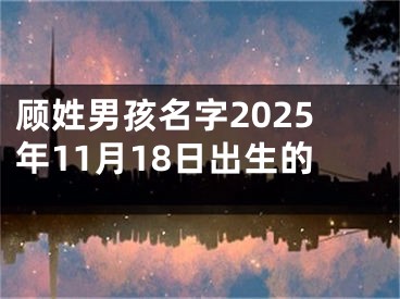 顾姓男孩名字2025年11月18日出生的