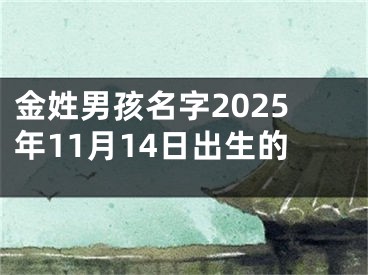 金姓男孩名字2025年11月14日出生的