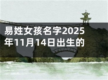 易姓女孩名字2025年11月14日出生的