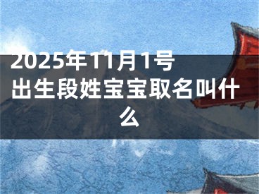 2025年11月1号出生段姓宝宝取名叫什么