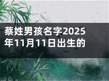 蔡姓男孩名字2025年11月11日出生的