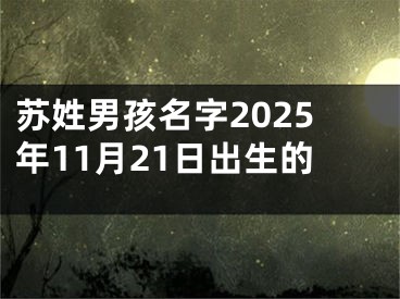 苏姓男孩名字2025年11月21日出生的