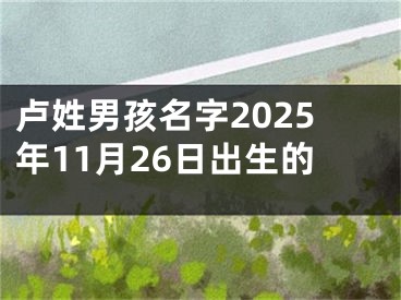 卢姓男孩名字2025年11月26日出生的