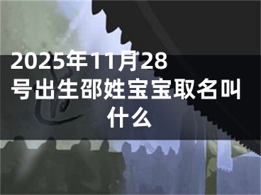 2025年11月28号出生邵姓宝宝取名叫什么