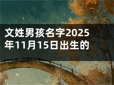 文姓男孩名字2025年11月15日出生的