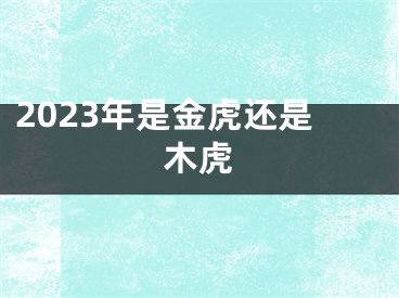 2023年是金虎还是木虎