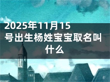 2025年11月15号出生杨姓宝宝取名叫什么