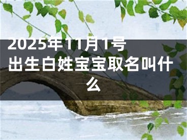 2025年11月1号出生白姓宝宝取名叫什么