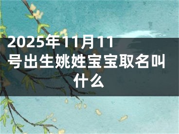 2025年11月11号出生姚姓宝宝取名叫什么