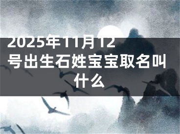 2025年11月12号出生石姓宝宝取名叫什么