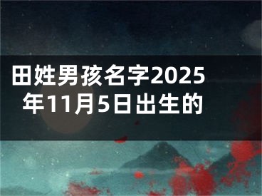 田姓男孩名字2025年11月5日出生的