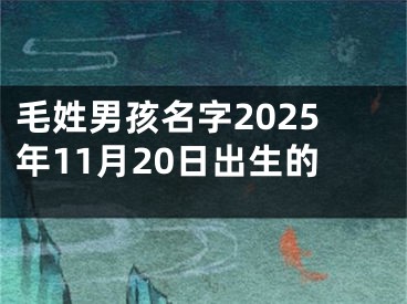 毛姓男孩名字2025年11月20日出生的