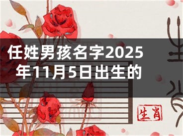 任姓男孩名字2025年11月5日出生的