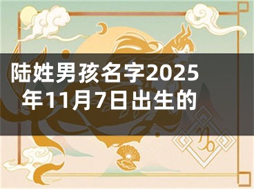 陆姓男孩名字2025年11月7日出生的