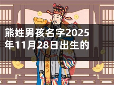 熊姓男孩名字2025年11月28日出生的