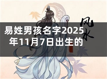 易姓男孩名字2025年11月7日出生的