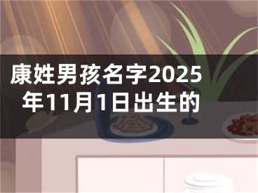 康姓男孩名字2025年11月1日出生的
