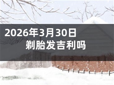 2026年3月30日剃胎发吉利吗
