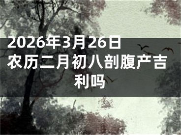 2026年3月26日农历二月初八剖腹产吉利吗