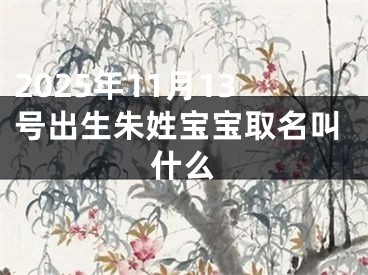 2025年11月13号出生朱姓宝宝取名叫什么