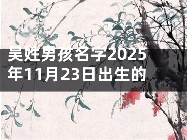 吴姓男孩名字2025年11月23日出生的