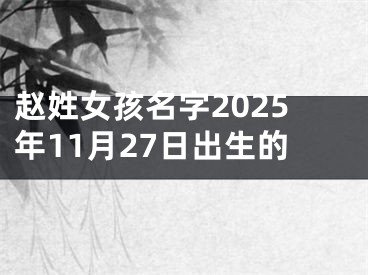 赵姓女孩名字2025年11月27日出生的