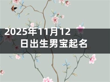 2025年11月12日出生男宝起名