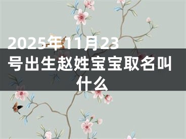 2025年11月23号出生赵姓宝宝取名叫什么