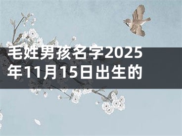 毛姓男孩名字2025年11月15日出生的