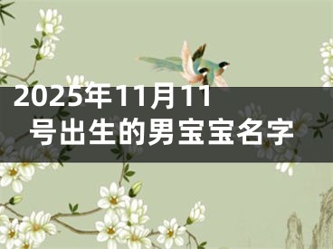 2025年11月11号出生的男宝宝名字