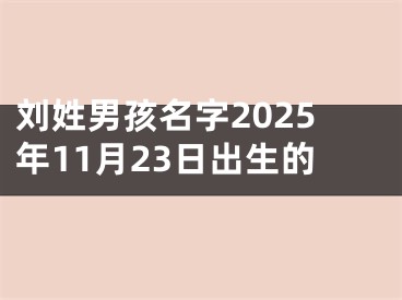 刘姓男孩名字2025年11月23日出生的
